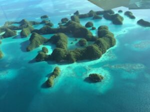 飛行機から見たパラオの印象的な透き通った海のイメージ